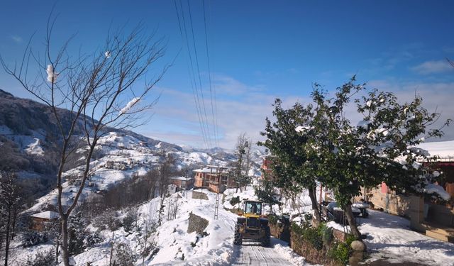 Trabzon'da karla mücadele sürüyor