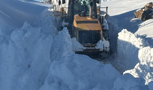 Van, Bitlis ve Hakkari'de 157 yerleşim yerinin yolu kardan kapalı