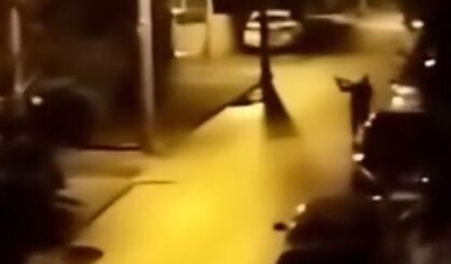 Yılbaşında sokakta tüfekle havaya ateş açan şüpheliye gözaltı