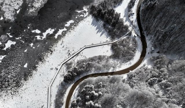 Abant'ta kar güzelliği