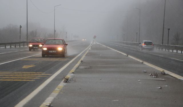 Bolu Dağı'nda hafif kar yağışı ve sis