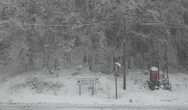 Bolu Dağı'nda kar yağışı ve sis