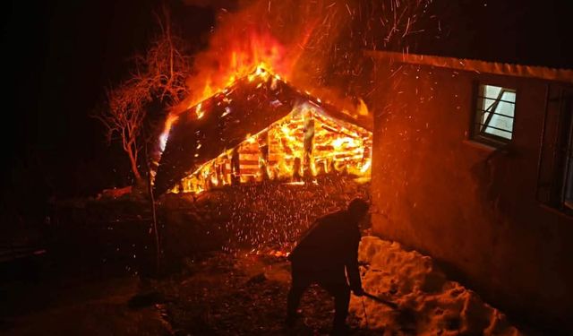 Çayır damı çıkan yangında küle döndü