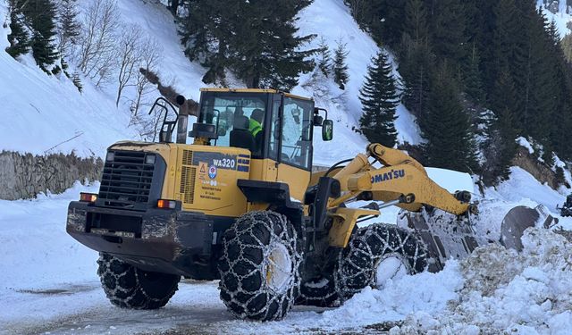 Doğu Karadeniz'de 371 köy ve mahalle yolu kardan kapandı