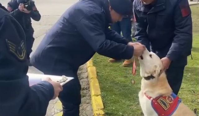 Jandarmanın iz takip köpeği 'Medyum' törenle emekliye ayrıldı