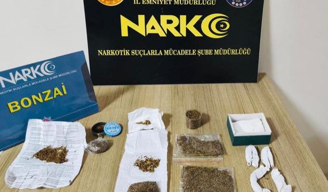 Ordu'da uyuşturucu operasyonunda: 19 tutuklama