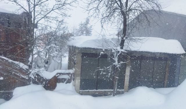Ordu'nun Çambaşı Yaylası'nda kar kalınlığı 1,5 metreye ulaştı