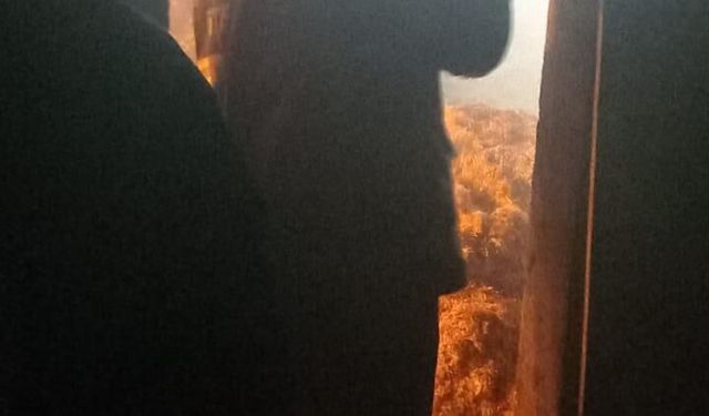 Samanlıkta çıkan yangın ahıra sıçradı; 25 büyükbaş öldü