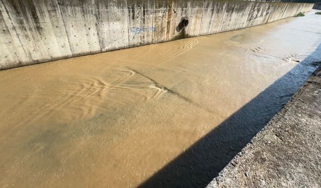 Samsun'da derede erkek cesedi bulundu