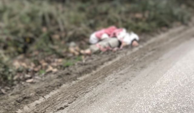 TIR'la getirilip, köye bırakılan düzensiz göçmenler yakalandı; 1 göçmen hipotermiden öldü