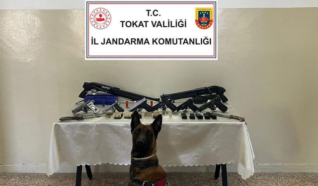 Tokat'ta silah ve mühimmat kaçakçılığı operasyonu: 5 gözaltı
