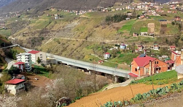 Viyadükten düşüp, öldü