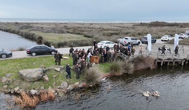 Yaralı bulunan 2 pelikan, bakımının ardından doğaya salındı