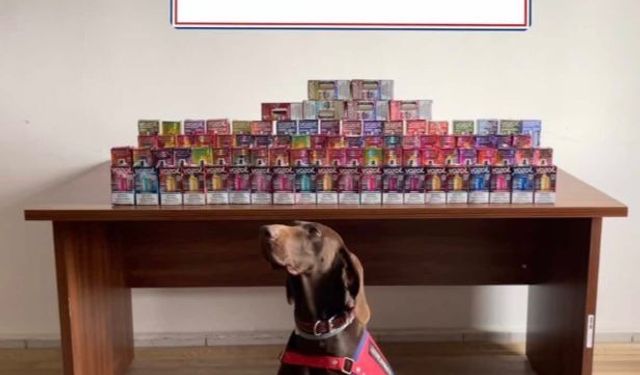 Yol kontrolünde kaçak elektronik sigaralar ele geçirildi