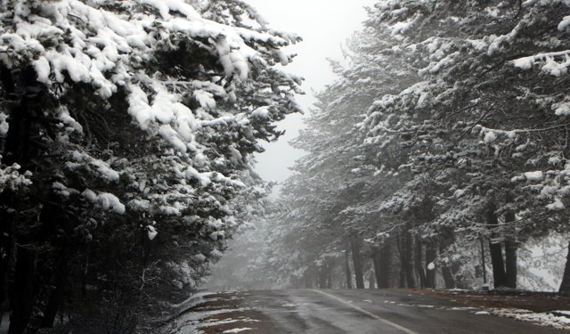 Abant, beyaz örtüyle kaplandı
