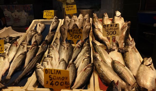 Av yasağı yaklaştı; hamsi yerini istavrite bıraktı