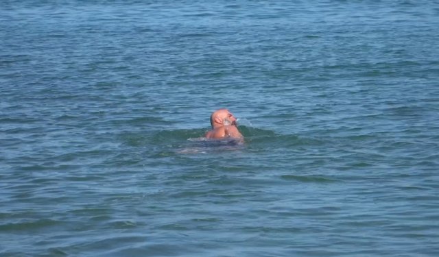 Karadeniz'de 4 mevsim kulaç atıyor