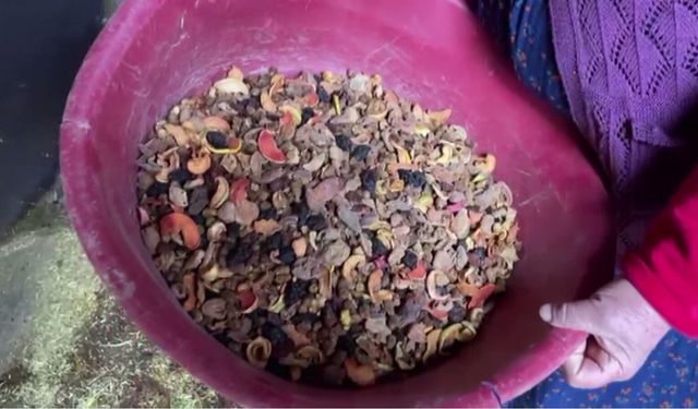 Menüsünde fındık ve pekmez olan boğalar kampta