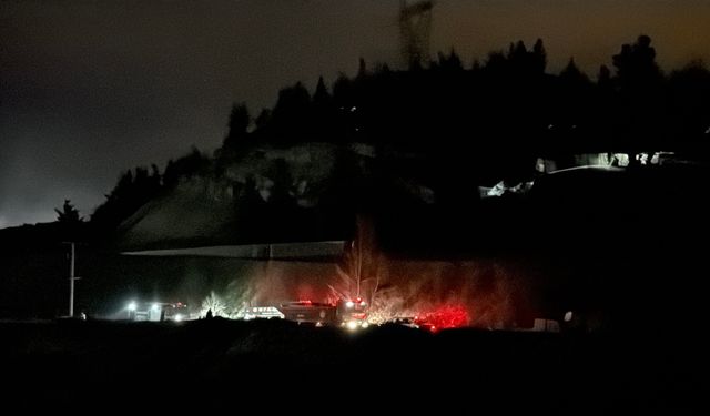 Ormanda çıkan örtü yangını söndürüldü