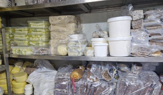 Rize'de bir depoda mevzuata ve tüketime aykırı 9 ton 750 kilo gıdaya el konuldu