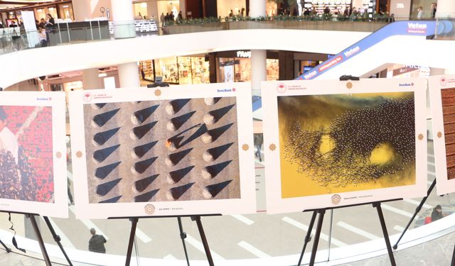 Samsun'da 'Bereketin Yüzyılı' fotoğraflarla görücüye çıktı