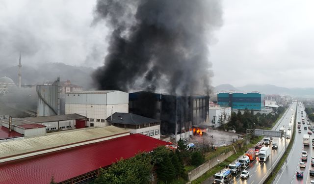 Trabzon'da fındık fabrikasında yangın (3)