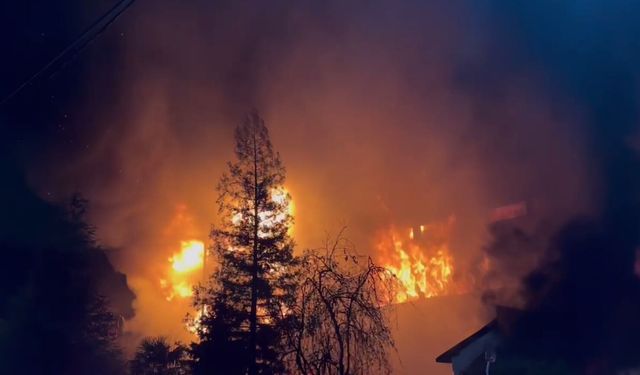 Trabzon'da fındık fabrikasında yangın (4)