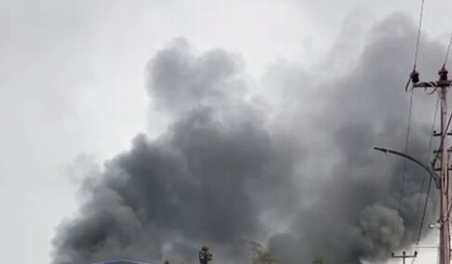 Trabzon'da fındık fabrikasında yangın