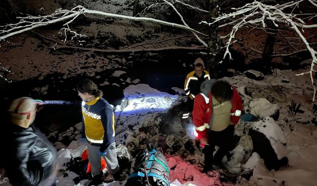 Trabzon'da uçuruma yuvarlanan otomobilin sürücüsü öldü