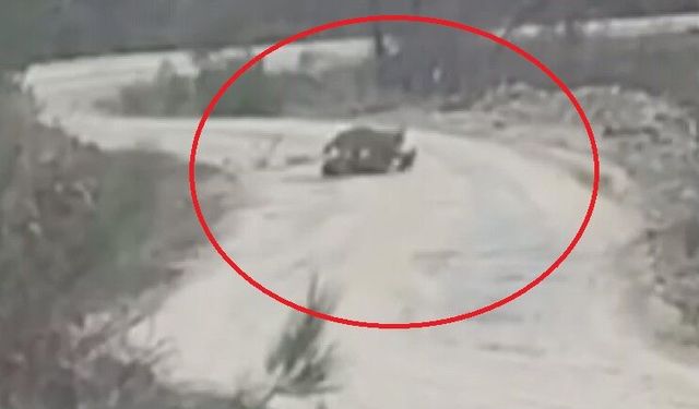 Vaşak, yaralı karacayı yerken görüntülendi