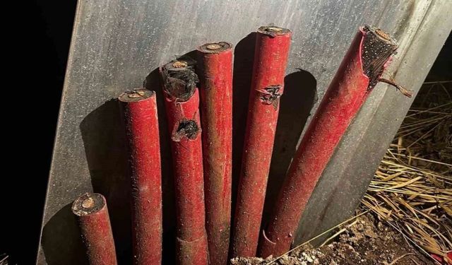 Vinç kiralayıp, gerilim hattı kablolarını çaldılar