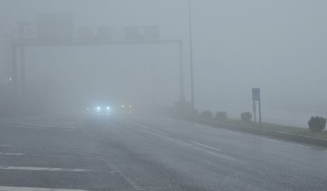 Zonguldak'ta 3 gündür sis etkili oluyor