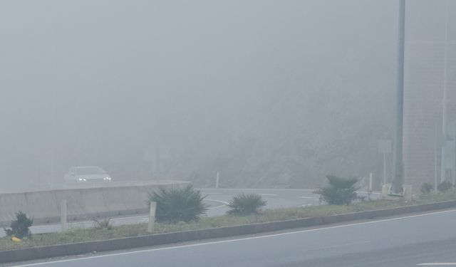 Zonguldak'ta 5 gündür sis etkili oluyor
