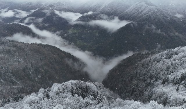 Ayder Yaylası'nda kar kalınlığı 20 santimetreye ulaştı