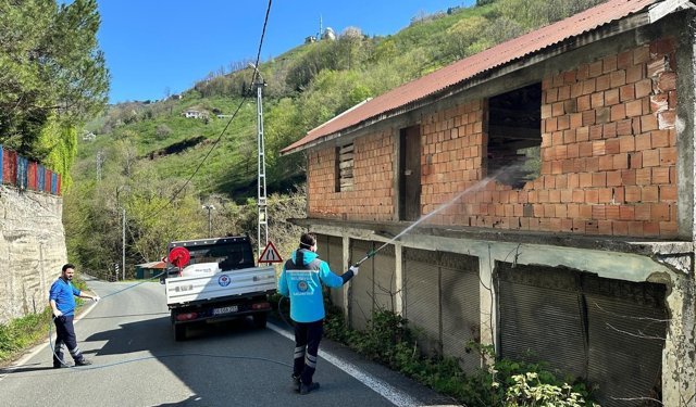 Büyükşehir Belediyesi'nden kokarcayla mücadeleye destek