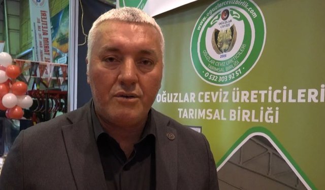 Çorum'da ceviz üreticileri güçleniyor