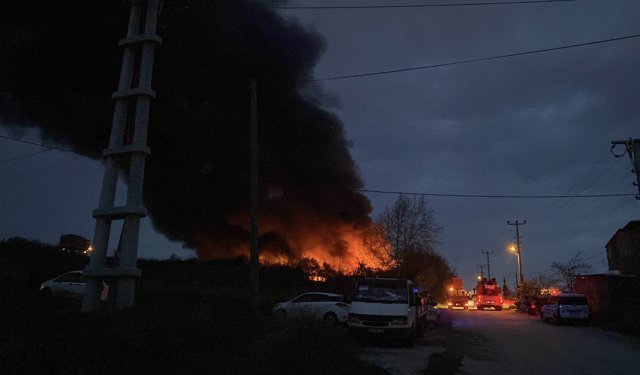 Samsun'da paletlerin olduğu meyve deposunda yangın