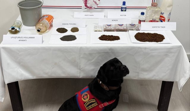 Tokat'ta uyuşturucu operasyonu 7 gözaltı