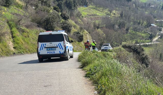 Yola çıkan kedi, kazaya neden oldu