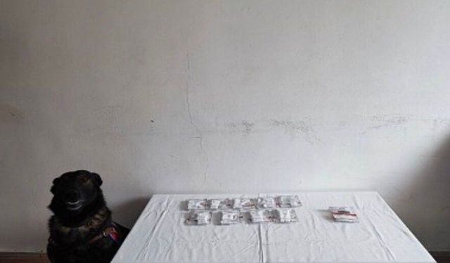 Bolu'da uyuşturucu operasyonu: 3 tutuklama