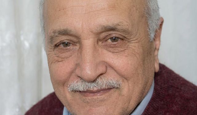 Fındık bahçesine giren otomobilin sürücüsü öldü