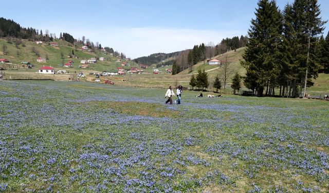 Kadıralak Yaylası'nda 'mavi yıldız' şöleni / Ek fotoğraflar