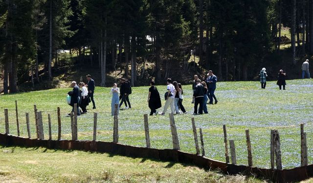 Kadıralak Yaylası'nda 'mavi yıldız' şöleni