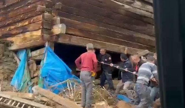 Kastamonu'da ağıl çöktü: 1 ölü