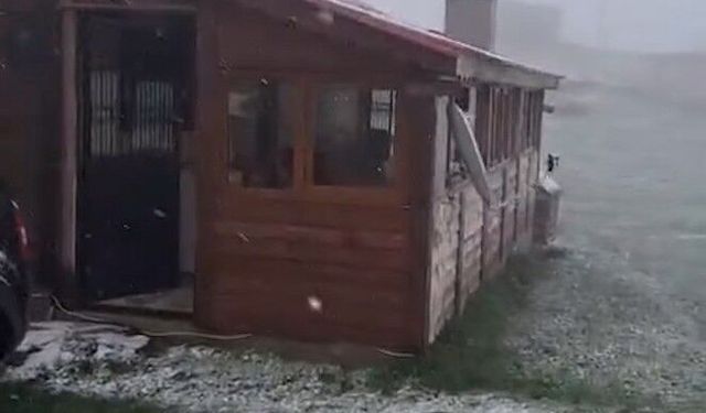 Mayıs ayında Ordu'nun yaylalarına kar yağdı