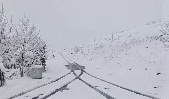 Ordu'da mayıs ayında kar yağdı