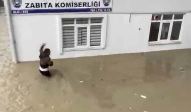 Sel sularına kapılan kediyi boğulmaktan kurtardı