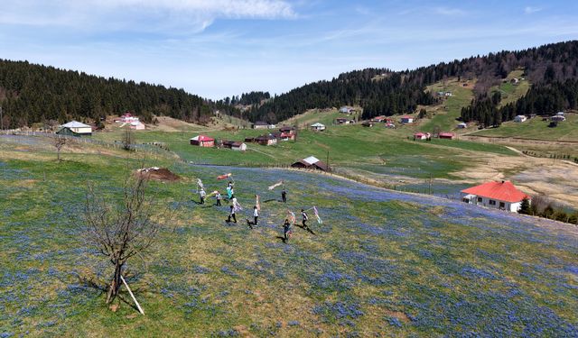 Yaylaya çıktılar, kitaba sarıldılar; 'mavi yıldız'lar arasında ders