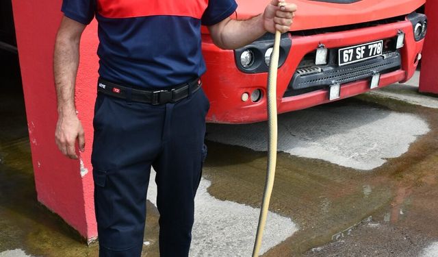 Aile Sağlığı Merkezi'ne giren yılanı itfaiye ekibi yakaladı