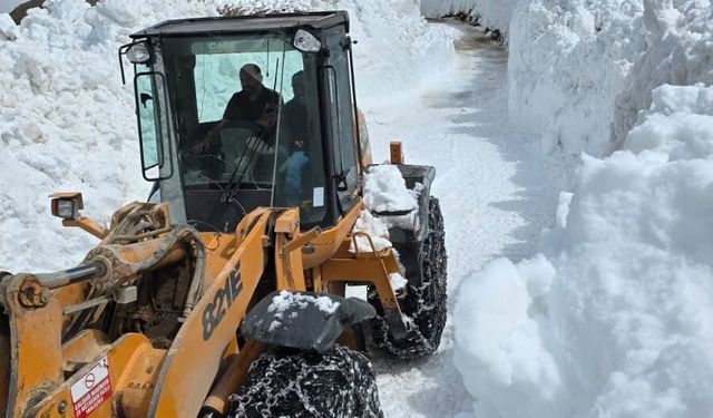 Artvin'de ekiplerin 6 metrelik karla mücadelesi